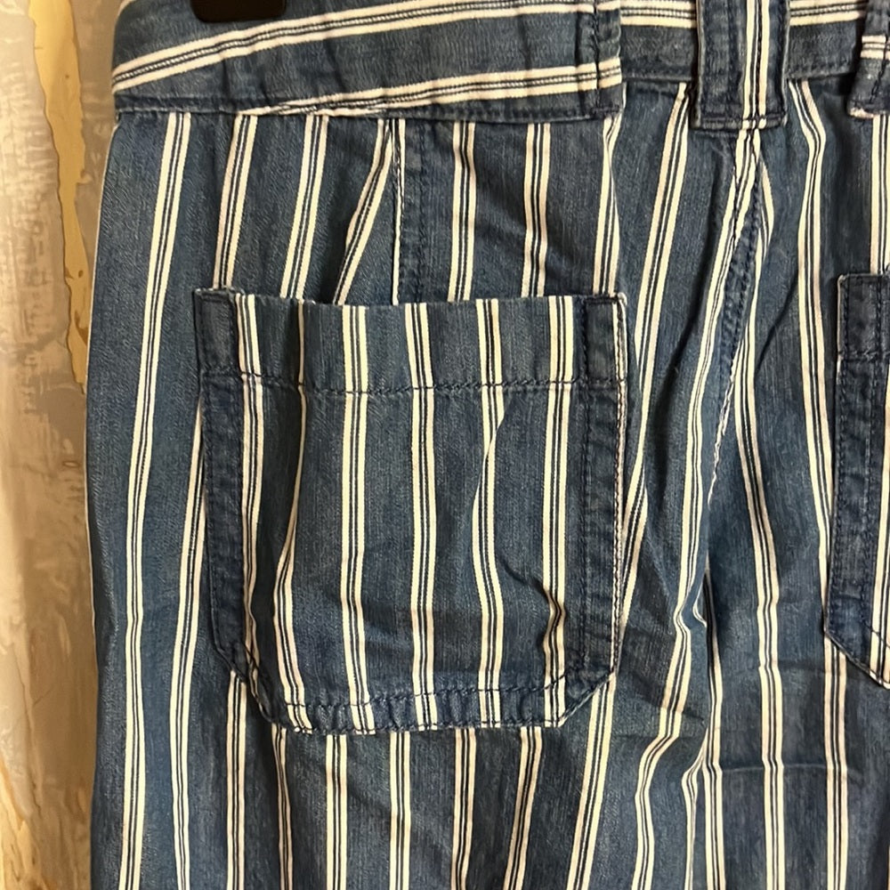 American Eagle Blue w/White Stripe Soft Denim Cozy Jeans size 2