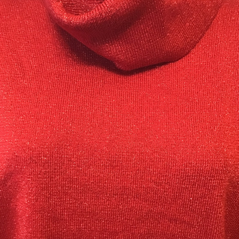 Dressbarn woman red sweater size 22/24 metallic turtle neck