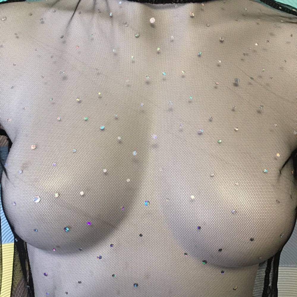 Transparent long sleeve turtleneck top