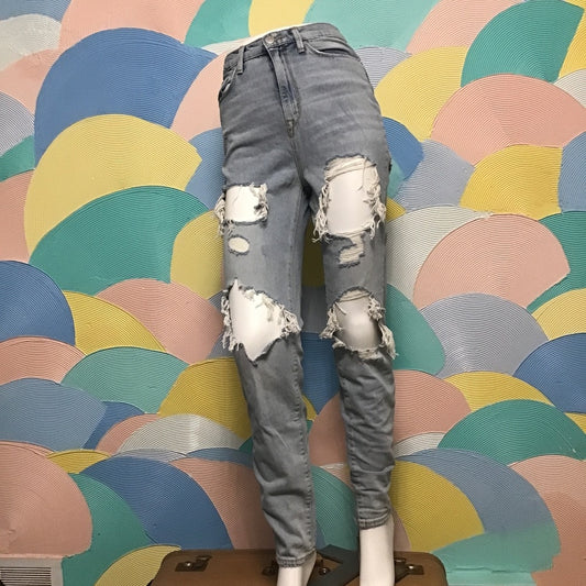 BDG Distressed Light Wash Straight Jean 26W