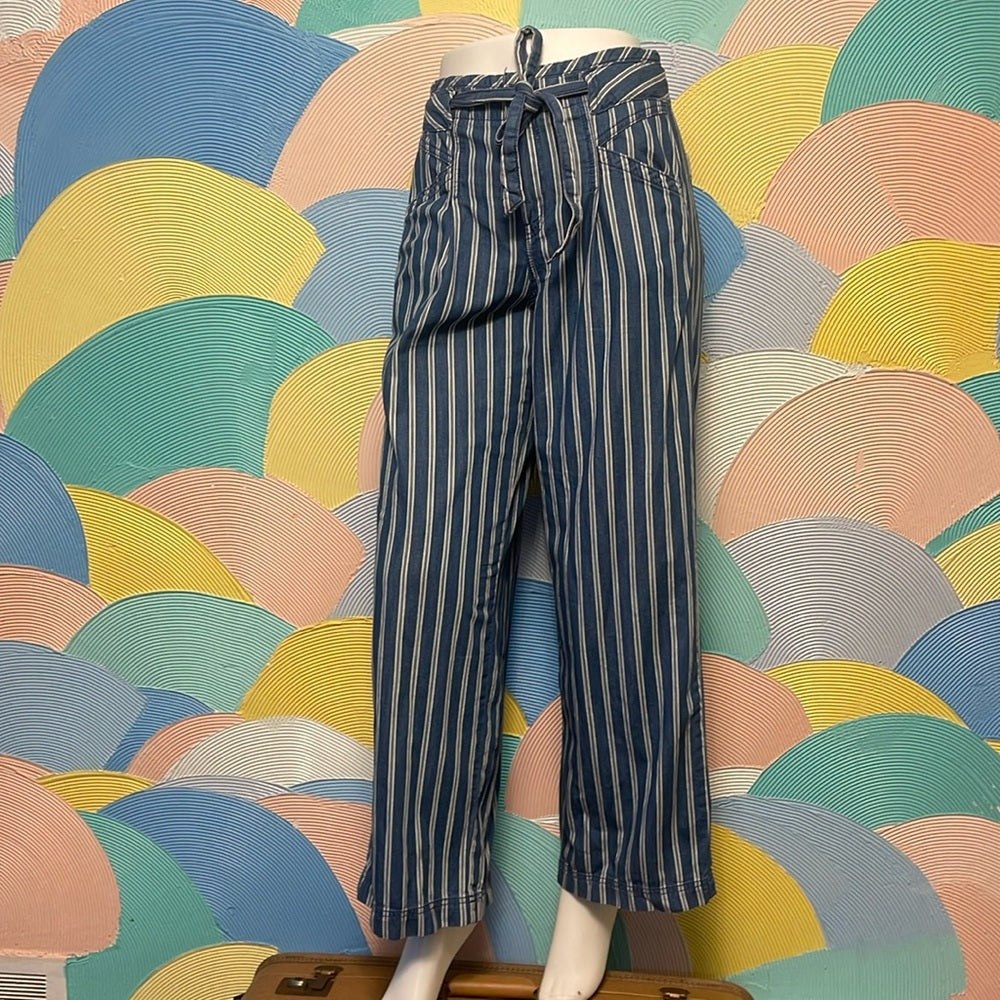 American Eagle Blue w/White Stripe Soft Denim Cozy Jeans size 2