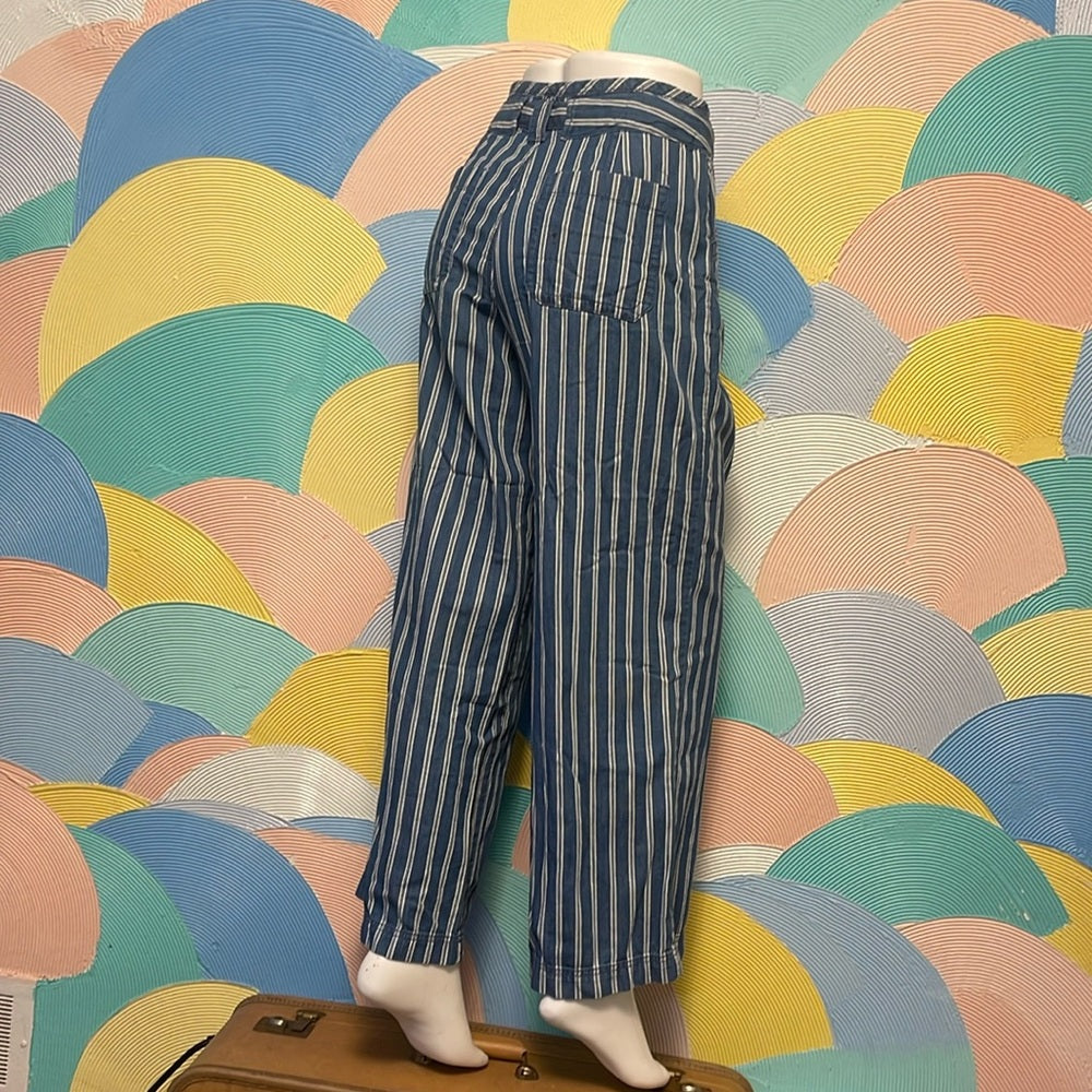 American Eagle Blue w/White Stripe Soft Denim Cozy Jeans size 2