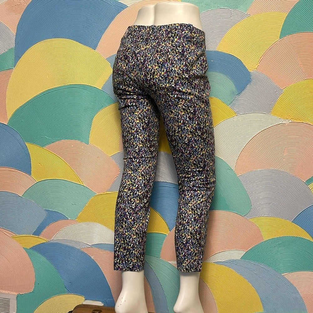 Ann Taylor Chelsea crop Colorful Pattern pants sz 4