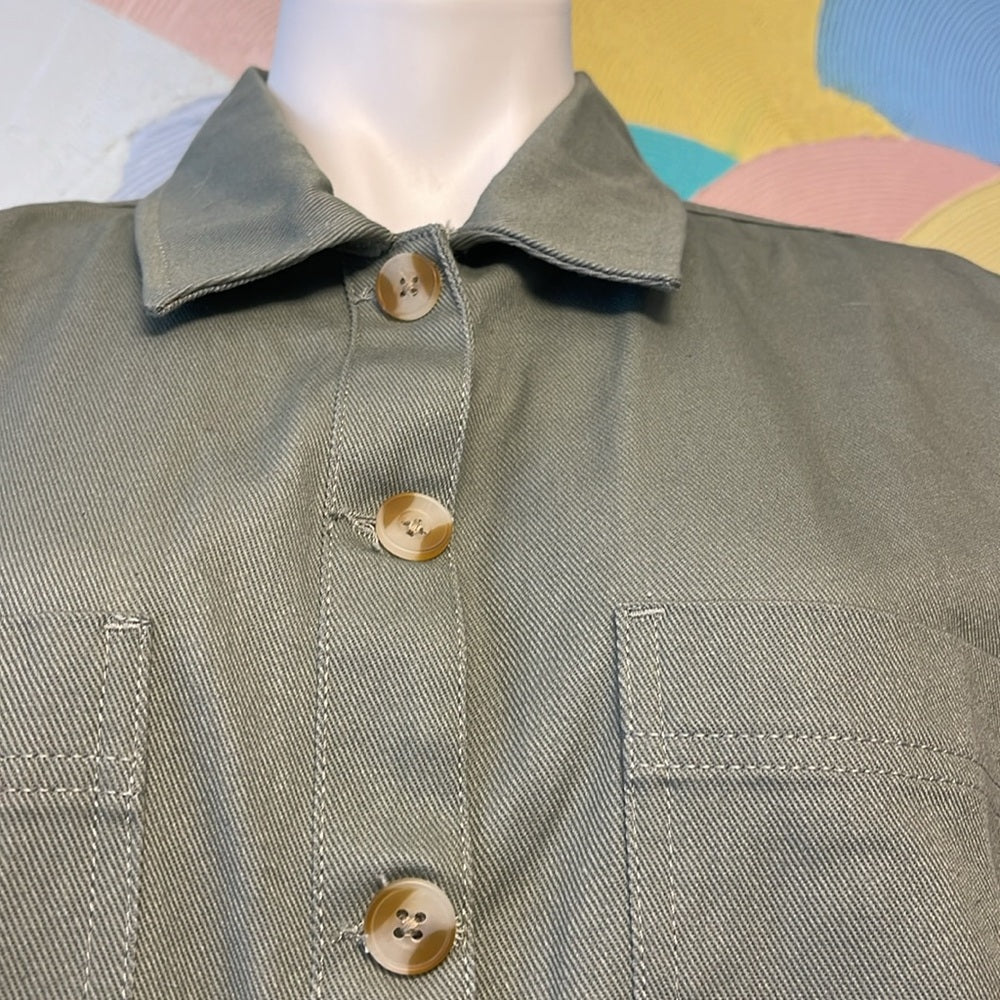 Earthbound canvas flannel sage 100 cotton buttons thread & supply L